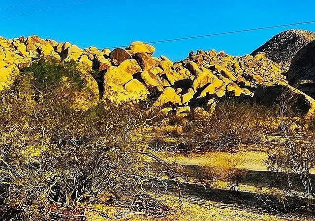 3rd image of 66058 Foothill Dr, Joshua Tree, CA 92252 | MLS# OC23216688