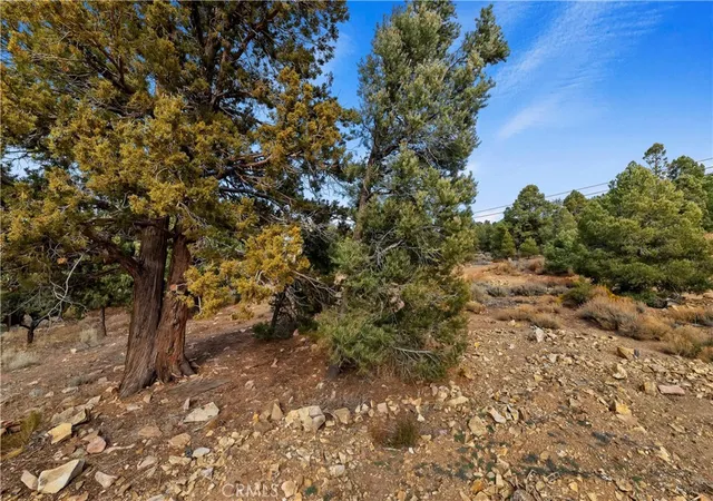 10th image of 0 Sunny Slope Ln, Big Bear City, CA 92314 | MLS# IG24007932