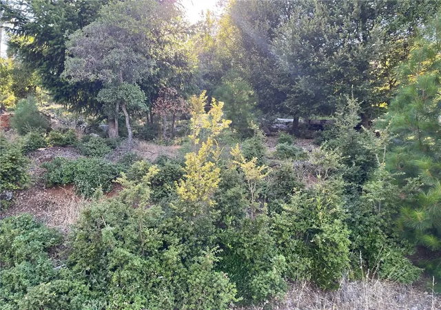 Homes for sale in Kelseyville, CA | 3607 Pine Terrace Dr, Kelseyville, CA 95451 | MLS# LC24014247