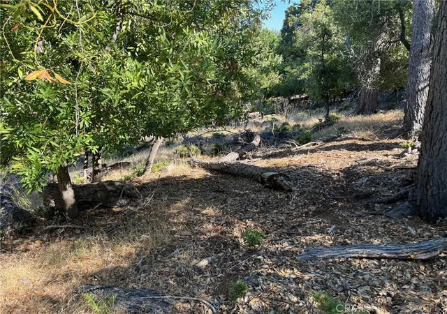 Homes for sale in Kelseyville, CA | 3607 Pine Terrace Dr, Kelseyville, CA 95451 | MLS# LC24014247