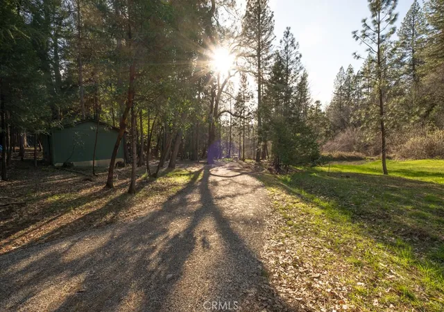 2nd image of 16648 New York House Rd, Brownsville, CA 95919 | MLS# OR24049766