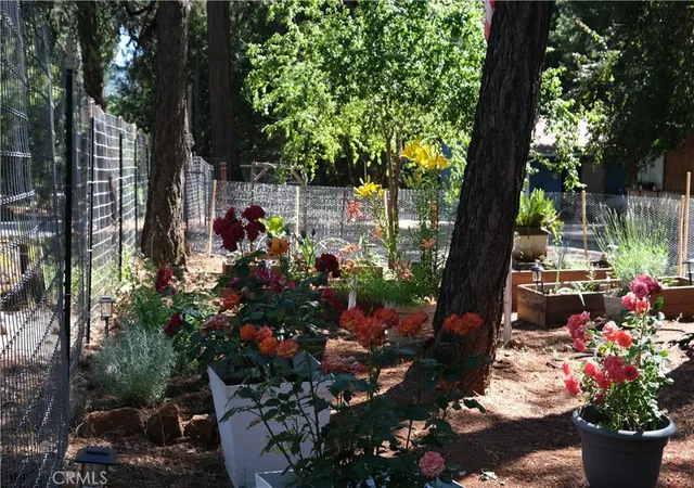 51st image of 16648 New York House Rd, Brownsville, CA 95919 | MLS# OR24049766