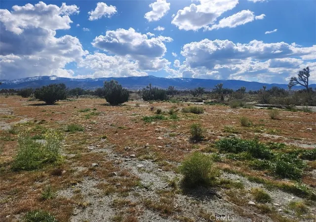 11th image of 2647 Minero Rd, Pinon Hills, CA 92372 | MLS# IV24056221