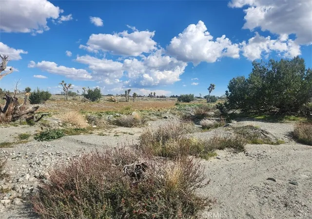 3rd image of 2647 Minero Rd, Pinon Hills, CA 92372 | MLS# IV24056221