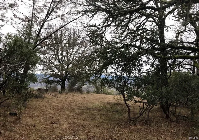2nd image of 3643 Glebe Rd, Kelseyville, CA 95451 | MLS# LC24058642
