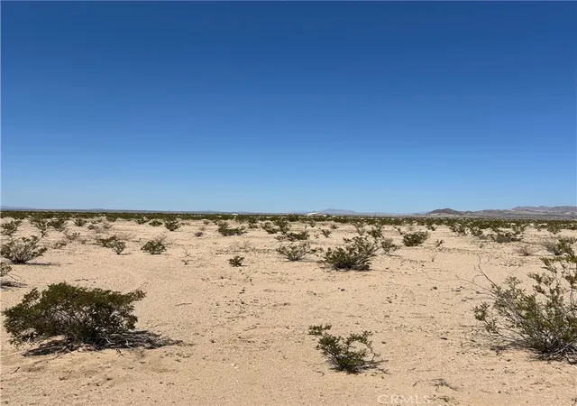 2nd image of 1142 Samarkand Dr, Twentynine Palms, CA 92277 | MLS# JT24055235