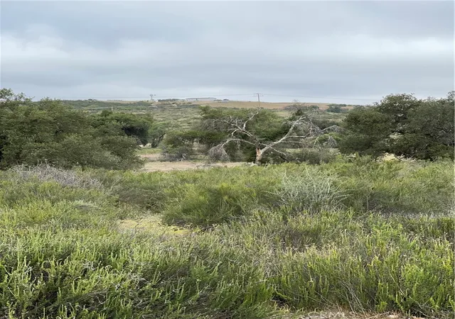 13th image of 46 Sable Dr, Hemet, CA 92544 | MLS# SW24063256