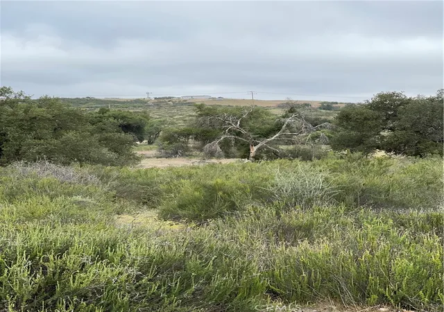 12th image of 49 Sable Dr, Hemet, CA 92544 | MLS# SW24063261