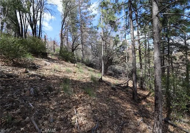 image of 11256 Loch Lomond Rd, Middletown, CA 95461 | MLS# LC24067835