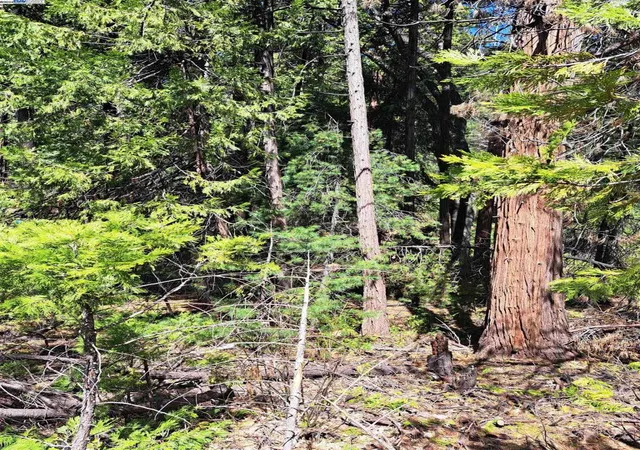 1st image of Sly Park, Pollock Pines, CA 95726 | MLS# 41057072