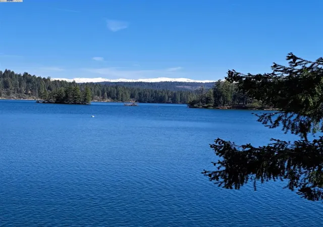 20th image of Sly Park, Pollock Pines, CA 95726 | MLS# 41057072