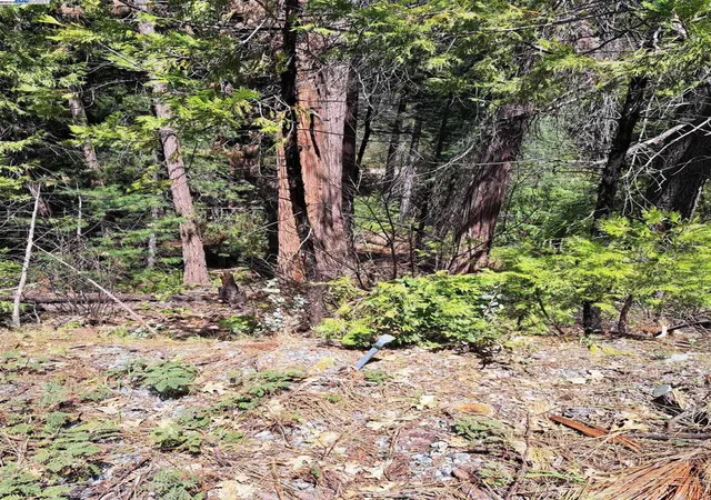 2nd image of Sly Park, Pollock Pines, CA 95726 | MLS# 41057072