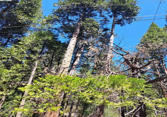 3rd image of Sly Park, Pollock Pines, CA 95726 | MLS# 41057072