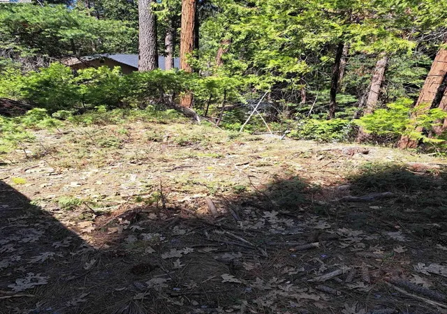 5th image of Sly Park, Pollock Pines, CA 95726 | MLS# 41057072