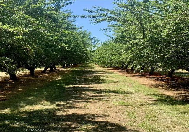 1st image of 10351 Avenue 112, Pixley, CA 93256 | MLS# TR24084254