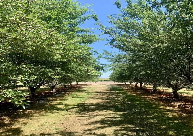 2nd image of 10351 Avenue 112, Pixley, CA 93256 | MLS# TR24084254