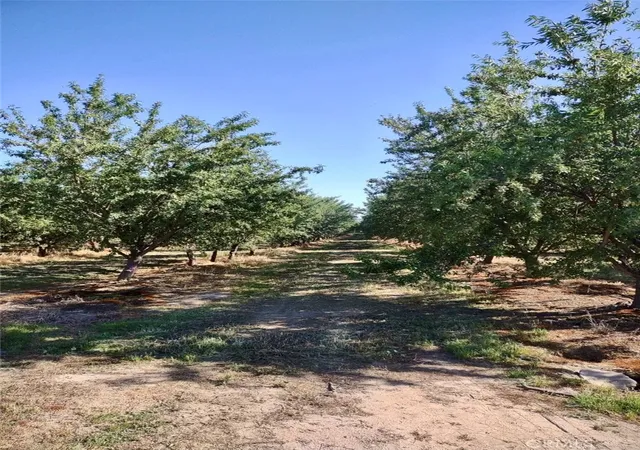 4th image of 10351 Avenue 112, Pixley, CA 93256 | MLS# TR24084254