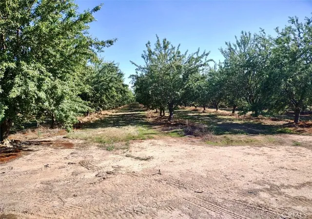 5th image of 10351 Avenue 112, Pixley, CA 93256 | MLS# TR24084254