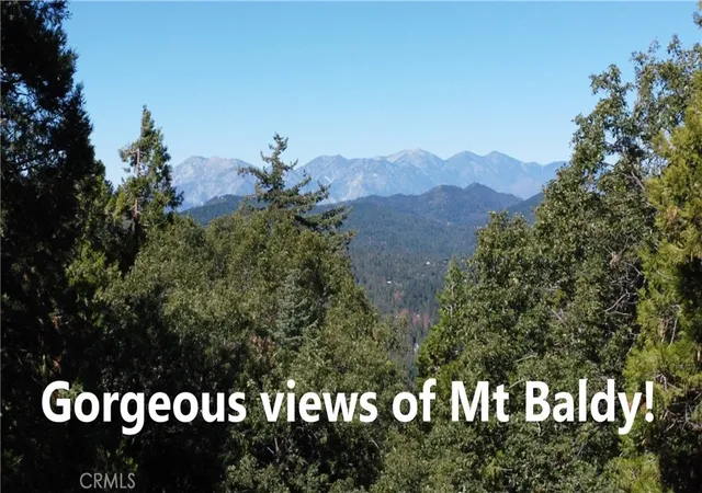 Homes for sale in Twin Peaks, CA | 0 North Rd, Twin Peaks, CA 92391 | MLS# RW24084913