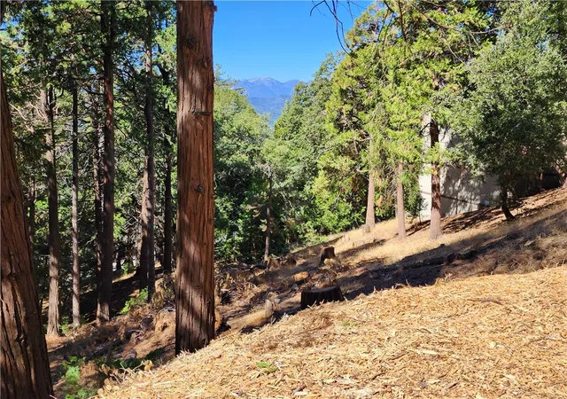 Homes for sale in Twin Peaks, CA | 0 North Rd, Twin Peaks, CA 92391 | MLS# RW24084913