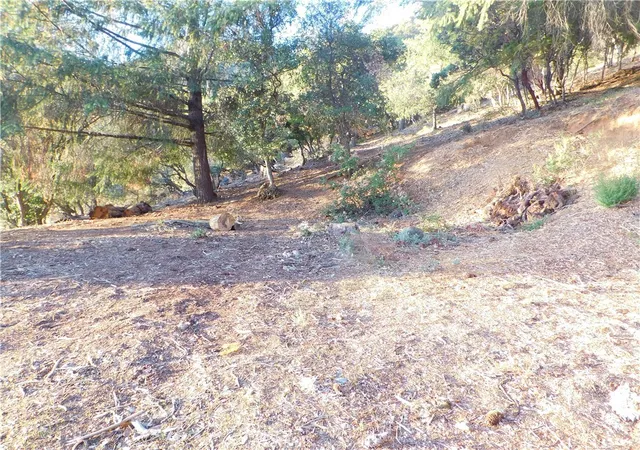 2nd image of 8431 Mountain Crest Dr, Kelseyville, CA 95451 | MLS# LC24086840