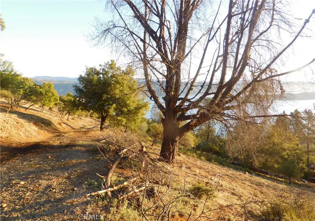 5th image of 8431 Mountain Crest Dr, Kelseyville, CA 95451 | MLS# LC24086840