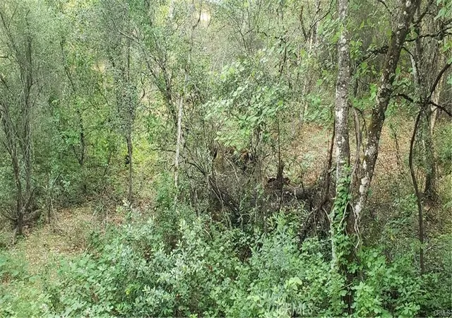 3rd image of 7248 High St, Nice, CA 95464 | MLS# LC24086418