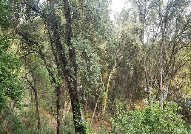 4th image of 7248 High St, Nice, CA 95464 | MLS# LC24086418
