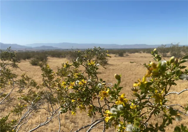Photo 2 of Land for sale at 1 Falchion Rd, Apple Valley, CA 92307 | MLS# HD24098646 | Listing updated on 2026-09-28