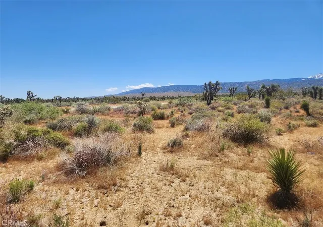 1st image of 0 Ave X6 212 St, Llano, CA 93544 | MLS# IV24104605
