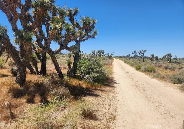 4th image of 0 Ave X6 212 St, Llano, CA 93544 | MLS# IV24104605