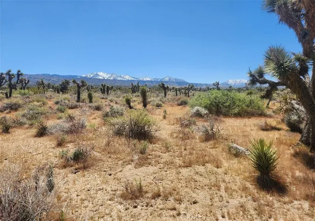 5th image of 0 Ave X6 212 St, Llano, CA 93544 | MLS# IV24104605