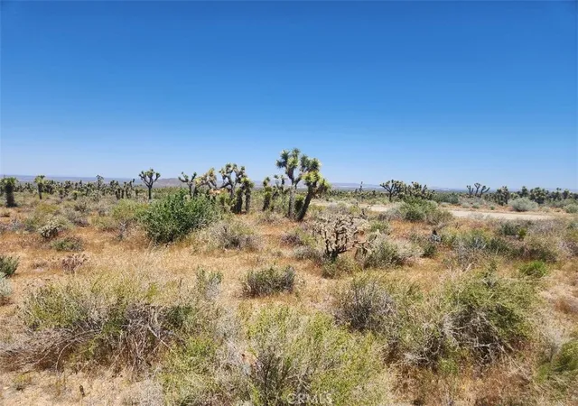 6th image of 0 Ave X6 212 St, Llano, CA 93544 | MLS# IV24104605