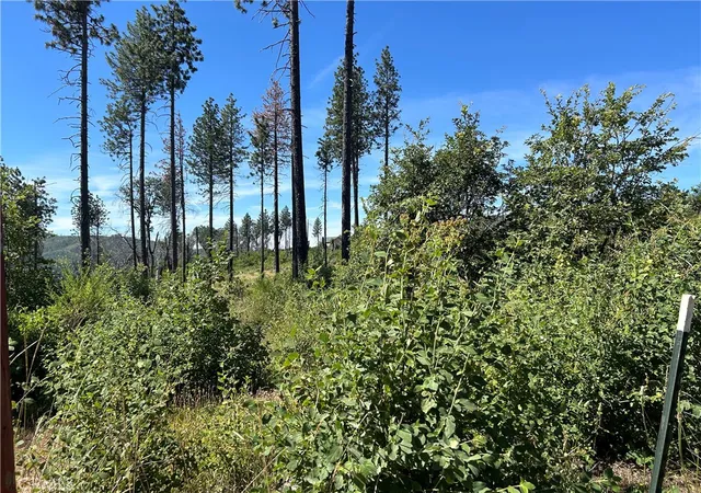 Photo 3 of Land for sale at 3520 Hoffman Rd, Oroville, CA 95965 | MLS# PA24126240 | Listing updated on 2026-07-07