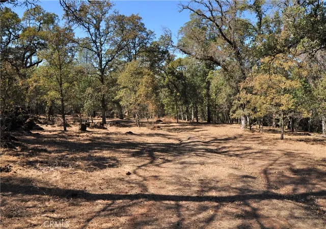 1st image of 205 Cynthiann Ln, Oroville, CA 95966 | MLS# OR24133090