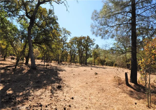 Photo 3 of Land for sale at 205 Cynthiann Ln, Oroville, CA 95966 | MLS# OR24133090 | Listing updated on 2026-06-19
