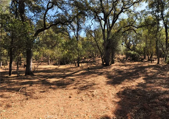 Photo 3 of Land for sale at 205 Cynthiann Ln, Oroville, CA 95966 | MLS# OR24133090 | Listing updated on 2026-06-19