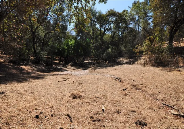 Photo 4 of Land for sale at 205 Cynthiann Ln, Oroville, CA 95966 | MLS# OR24133090 | Listing updated on 2026-06-19
