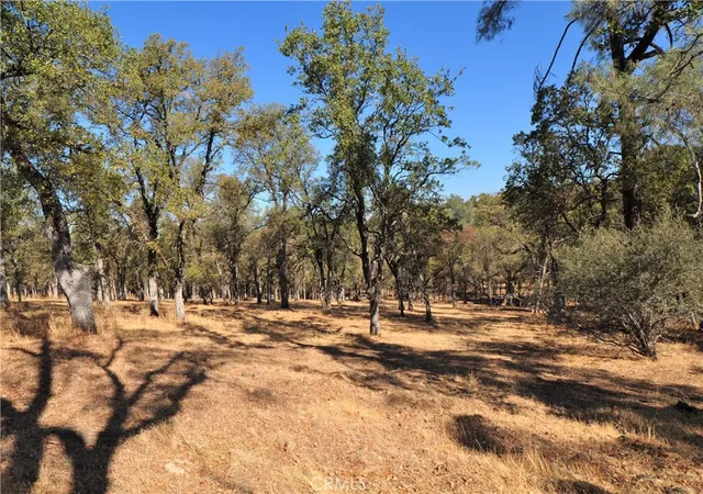 3rd image of 0 Orange Ave, Bangor, CA 95966 | MLS# OR24133137