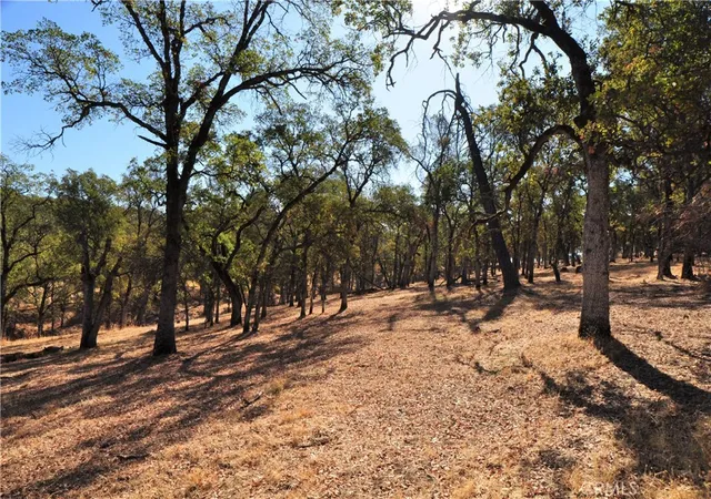 4th image of 0 Orange Ave, Bangor, CA 95966 | MLS# OR24133137