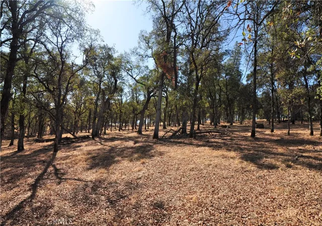 5th image of 0 Orange Ave, Bangor, CA 95966 | MLS# OR24133137