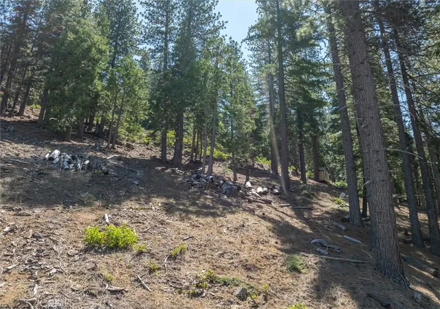 Homes for sale in Yosemite, CA | 7343 Yosemite Park Way, Yosemite, CA 95389 | MLS# FR24130752