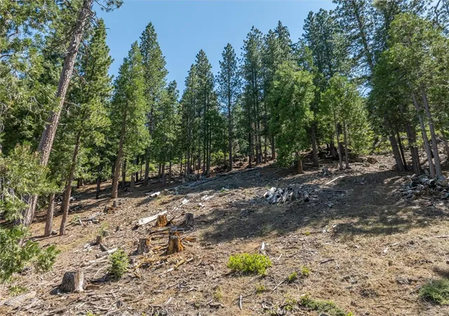 Homes for sale in Yosemite, CA | 7343 Yosemite Park Way, Yosemite, CA 95389 | MLS# FR24130752