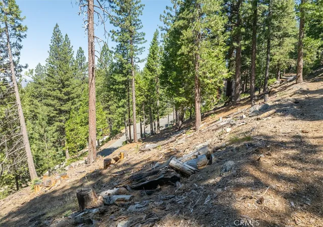 Photo 3 of Land for sale at 7343 Yosemite Park Way, Yosemite National Park, CA 95389 | MLS# FR24130752 | Listing updated on 2026-06-25