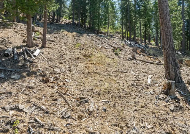 Photo 4 of Land for sale at 7343 Yosemite Park Way, Yosemite National Park, CA 95389 | MLS# FR24130752 | Listing updated on 2026-06-25