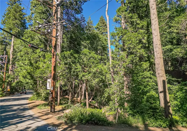 Photo 4 of Land for sale at 0 Cottage Grv Rd, Lake Arrowhead, CA 92352 | MLS# RW24137503 | Listing updated on 2025-01-18