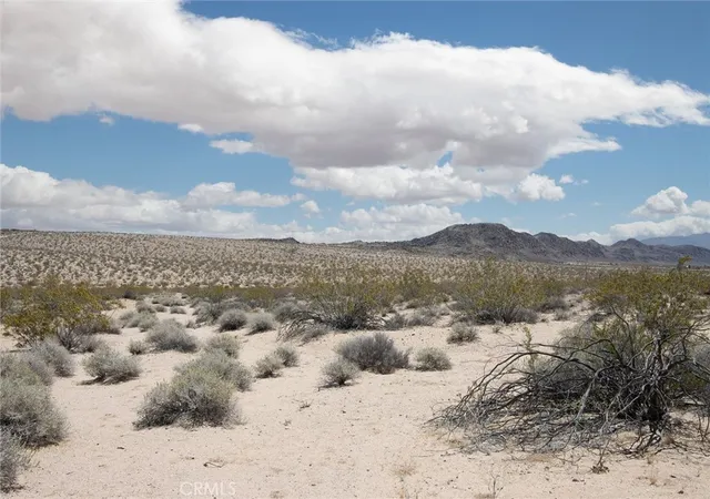 17th image of 1851 Sunever Rd, Joshua Tree, CA 92252 | MLS# JT24094366