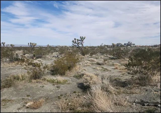 4th image of 0 Duncan Rd, Pinon Hills, CA 92372 | MLS# HD24148494