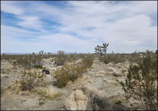5th image of 0 Duncan Rd, Pinon Hills, CA 92372 | MLS# HD24148494