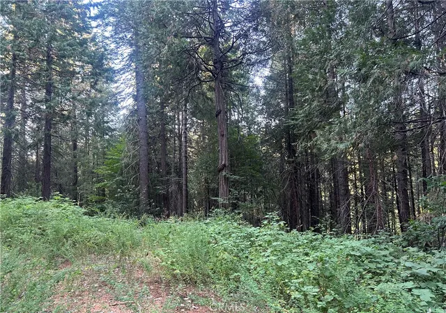 Photo 1 of Land for sale at 6418 Hupp Coutolenc Rd, Magalia, CA 95954 | MLS# PA24150895 | Listing updated on 2026-07-02